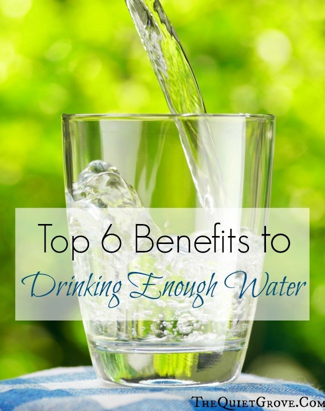 Top 6 Benefits to Drinking Enough Water ⋆ The Quiet Grove
