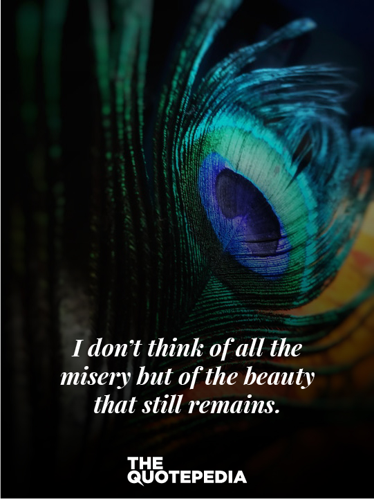 Best Beautiful Quotes That Will Make Your Day The QuotePedia