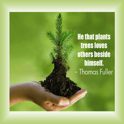 Earth Day Quotes