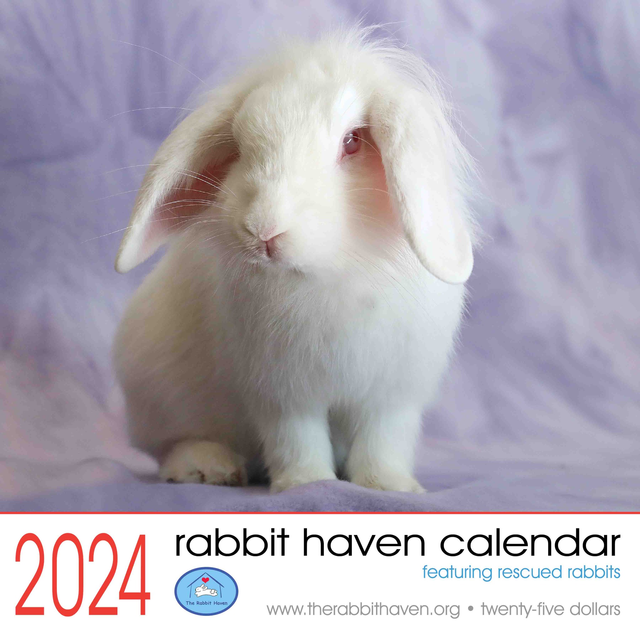 2024 Rabbit Haven calendar now available The Rabbit Haven