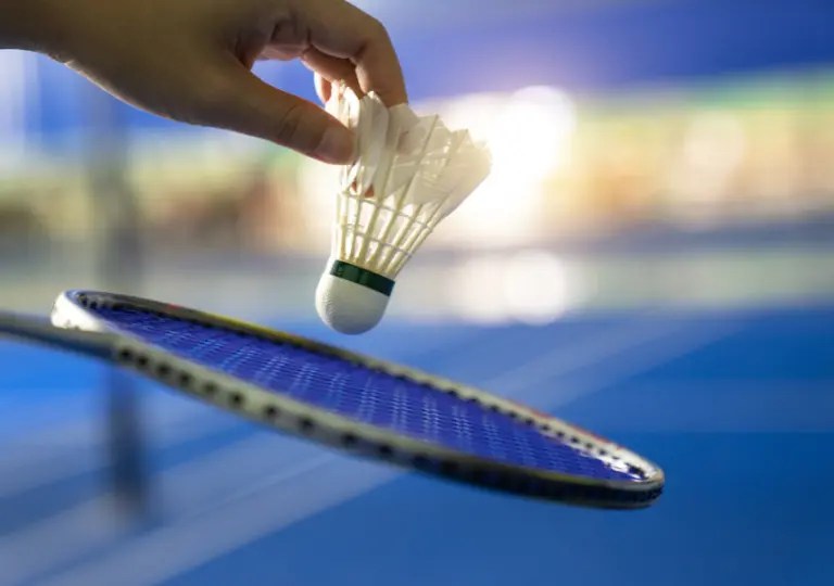 How to Play Badminton Expert's 2024