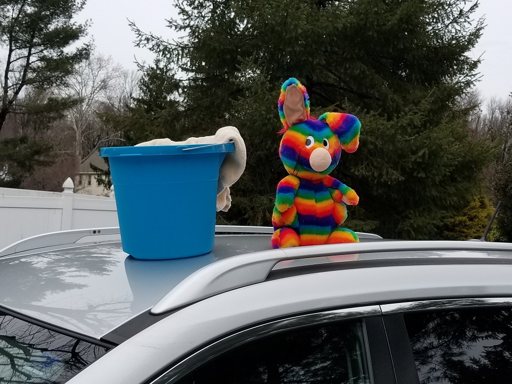 Random Acts Of Kindness Week To Be Celebrated By Rainbow Rabbit