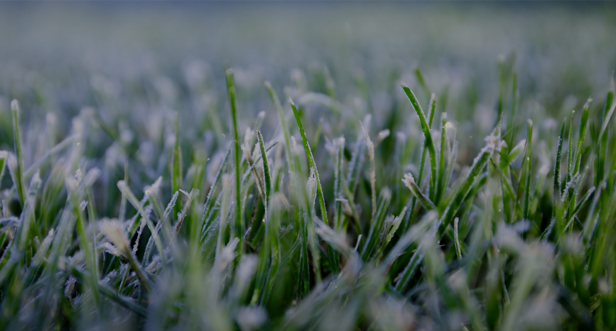 Home The Rain Man Irrigation