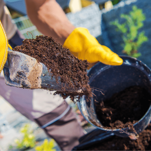 raised bed soil vs. garden soil