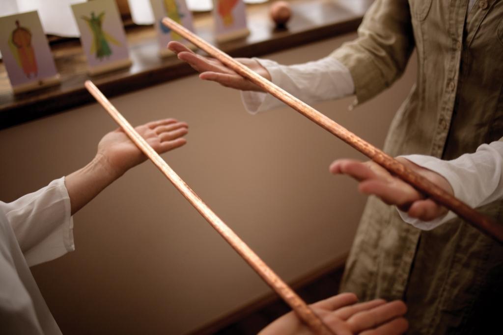 Therapeutic Eurythmy Association of North America In connection with