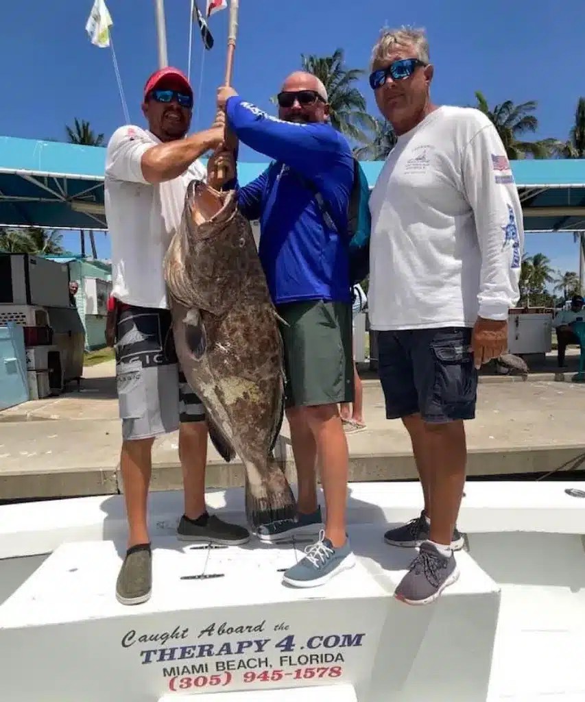 Grouper Fishing in Miami A Deep Sea Adventure TherapyIV
