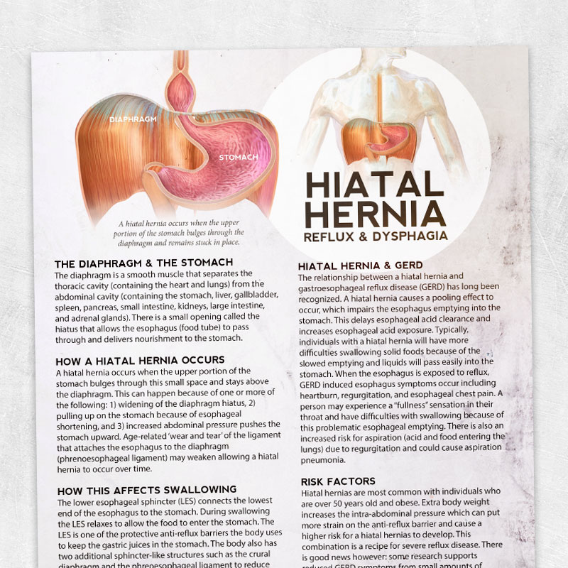 Reversing Hiatal Hernia With Manual Therapy Does It W vrogue.co