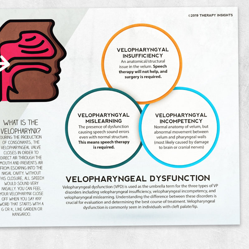 Velopharyngeal Insufficiency