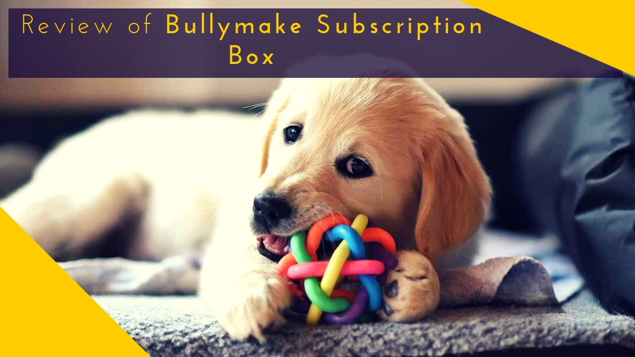 Bullymake Box Reviews The Best or WORST Box?