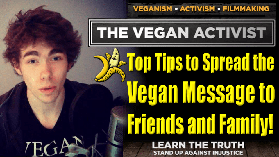 Vegan Activist Top Tips to Spread the Vegan Message to Friends and