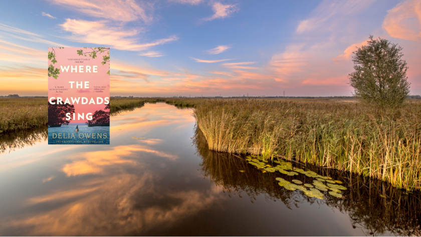 Over 10 million Copies Sold! The Reading Edit