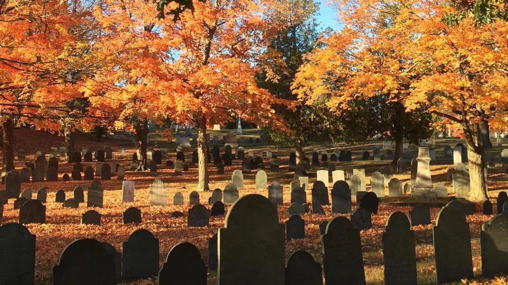 Halloween in Reading The Reading Post