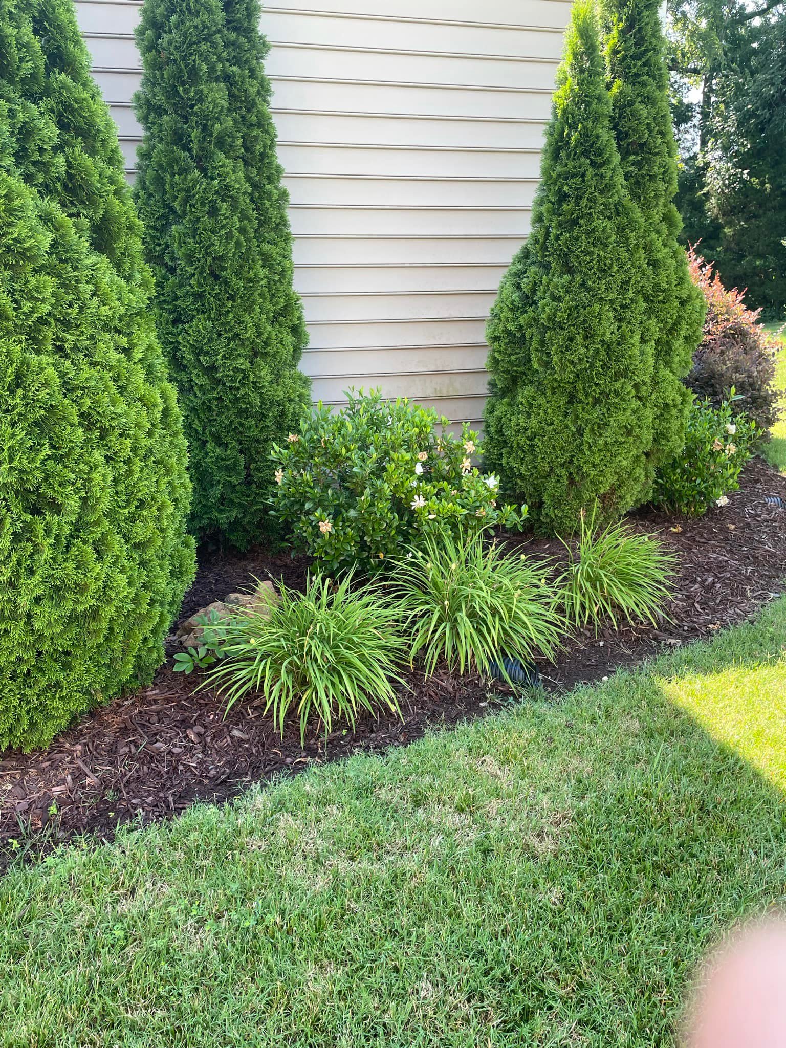The Real Green Thumb Lawn Care & Landscaping Services