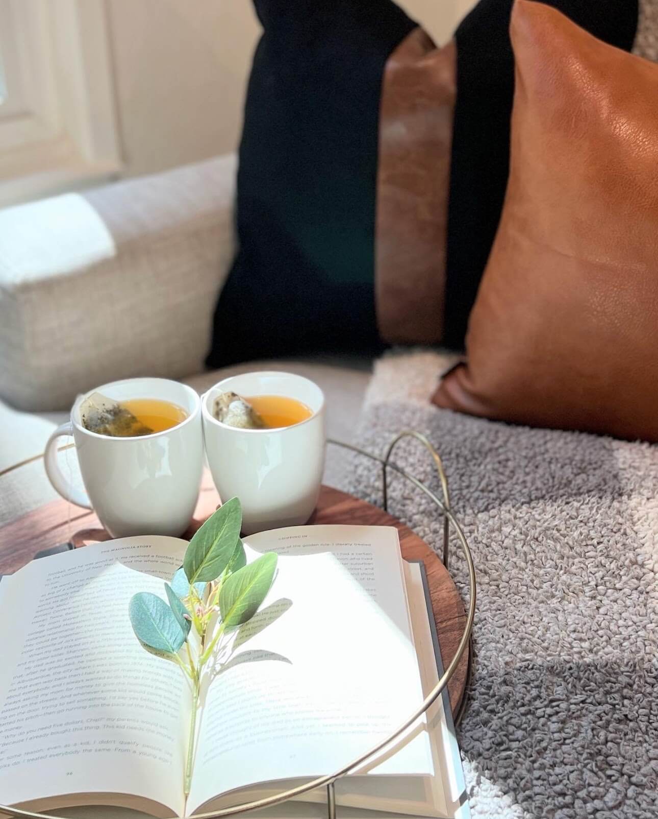 Which Is Better Airbnb or Vrbo Definitive Guide From a Real Host