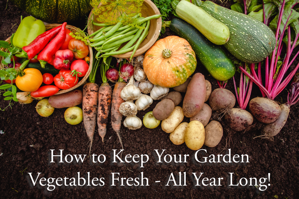 Keep Your Garden Vegetables Fresh All Year Long The Real Kitchen