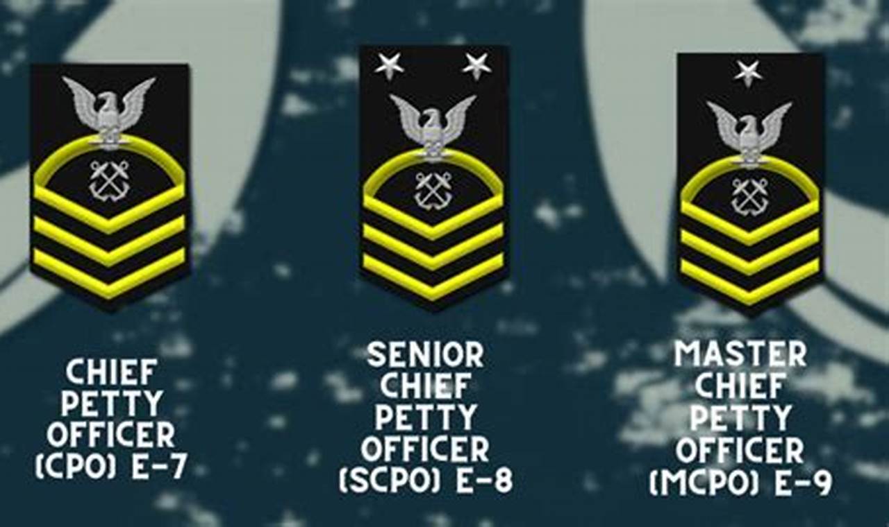 Naval Petty Officer Abbreviated: Ranks, Roles, and Navy Terms