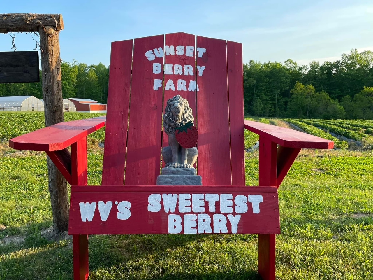 Sunset Berry Farm among recipients of USDA Specialty Crop Block Grant