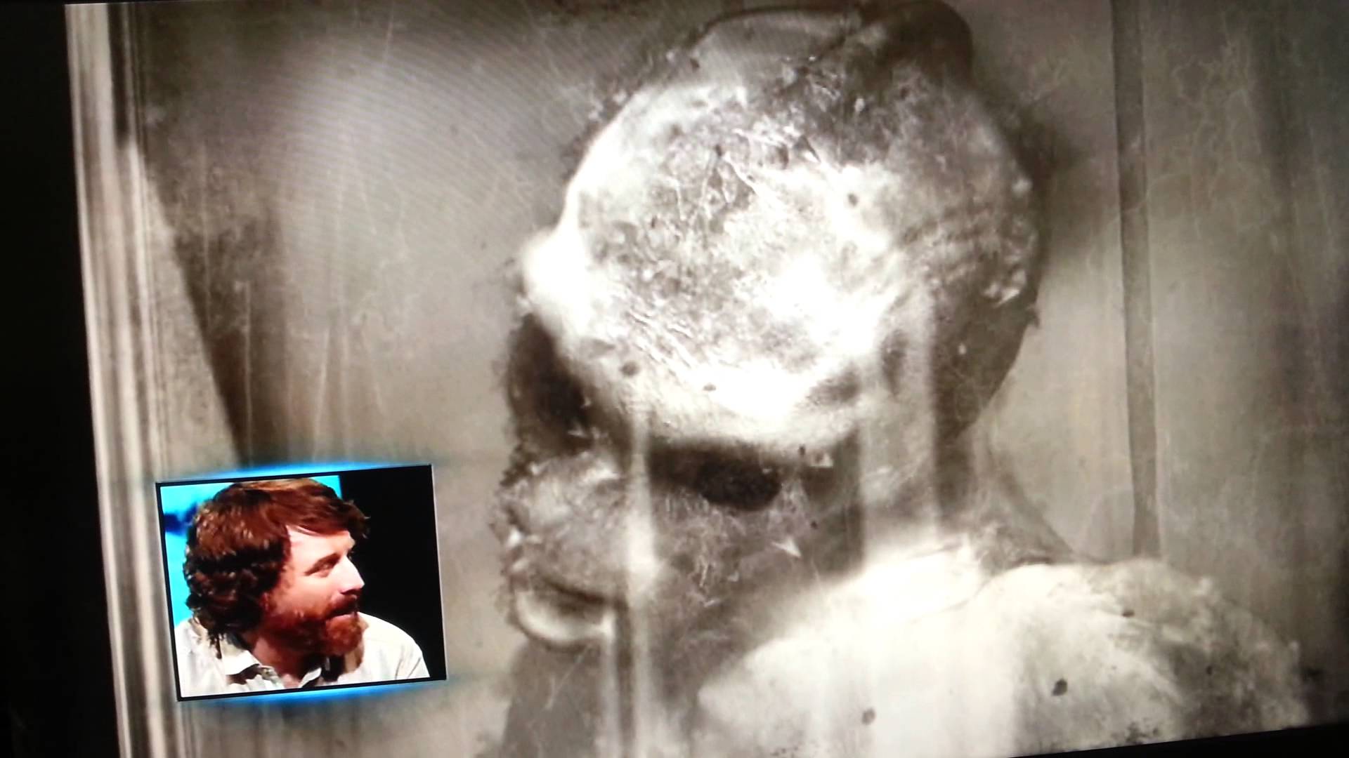 Are Mermaids Real? Animal Documentary Mermaids The New Evidence