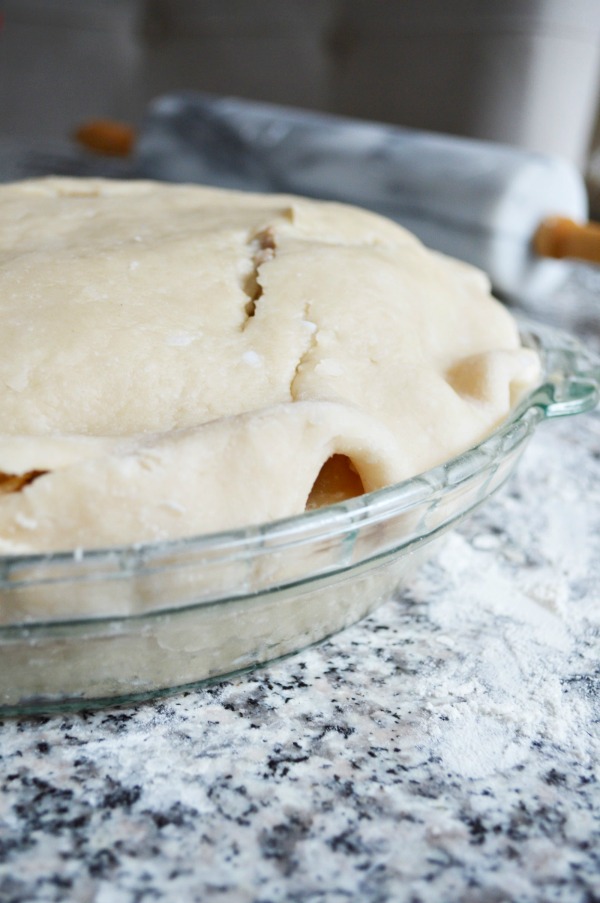 Dairy & EggFree Rustic Meat Pie Recipe The Rebel Chick