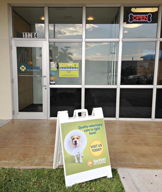 Every Day is National Dog Day at Banfield Pet Hospital BanHeartworms