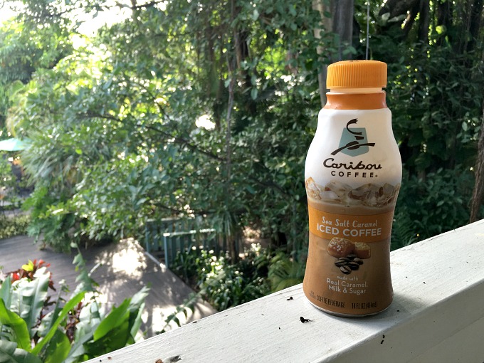 Get Caffeinated on the Go With Caribou Coffee Premium Iced Coffee The