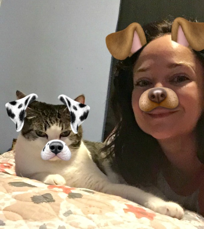 Making the Cat Lady Life Easier and Easier with