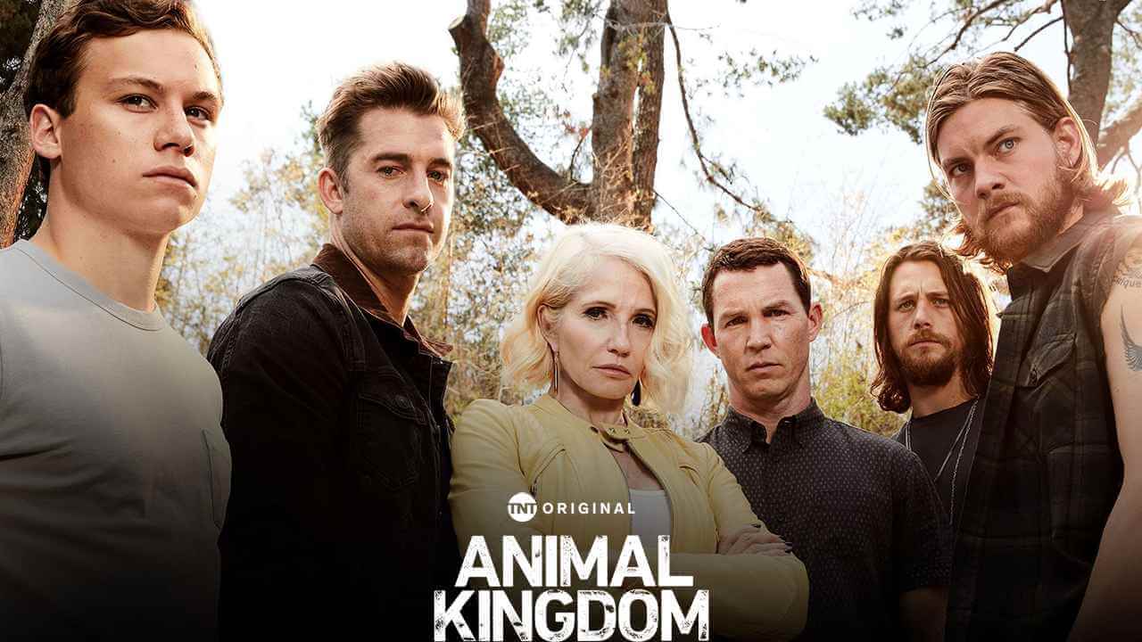 Animal Kingdom Season 6 Release Date, and Everything You Need To Know