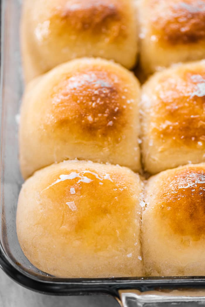These potato rolls are light, fluffy, and absolutely delicious. They make the perfect dinner buns and are great for sandwiches and dipping into soup, too. A close up of potato rolls in a pan.