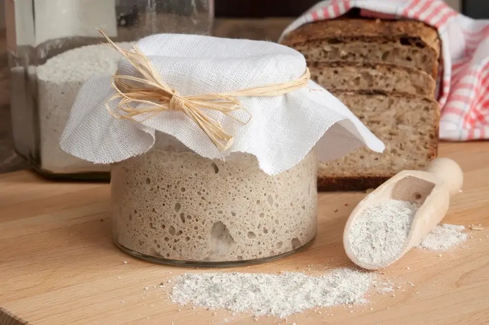 Get the Best Sourdough Starter Recipe Foolproof in a Week! The Recipe Master