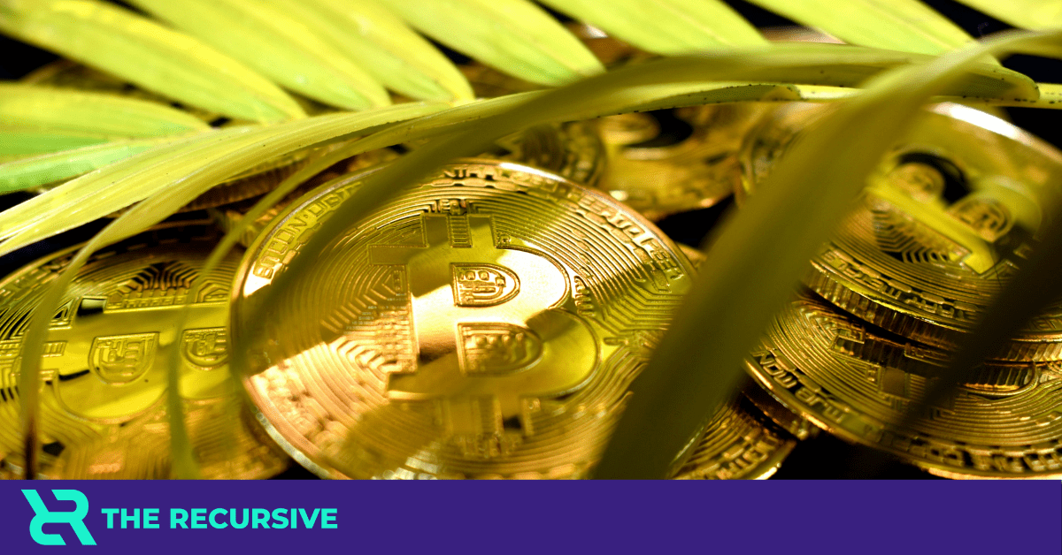 5 things you need to know about sustainable cryptocurrency