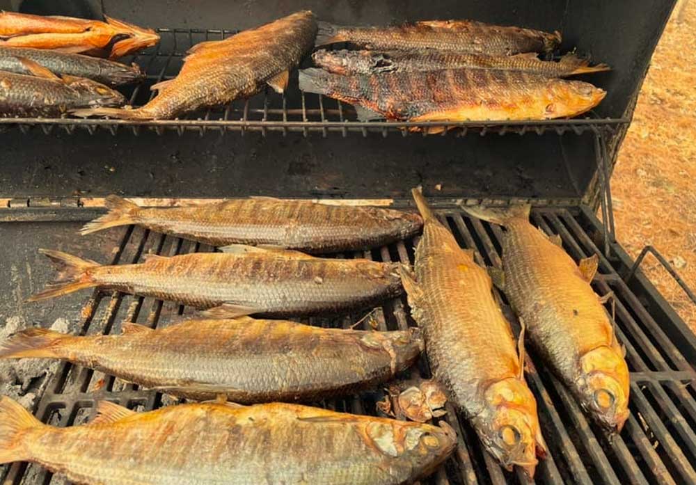 Tullibee Tourney Red Door Resort