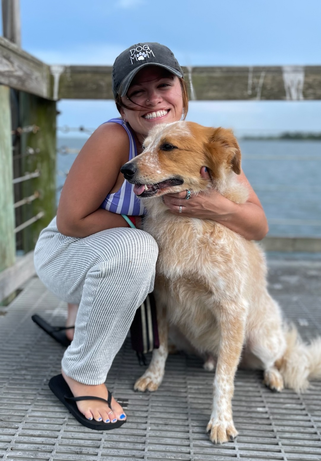 The Red Hydrant Pet Spa & Boutique, Doggie Daycare & Boarding