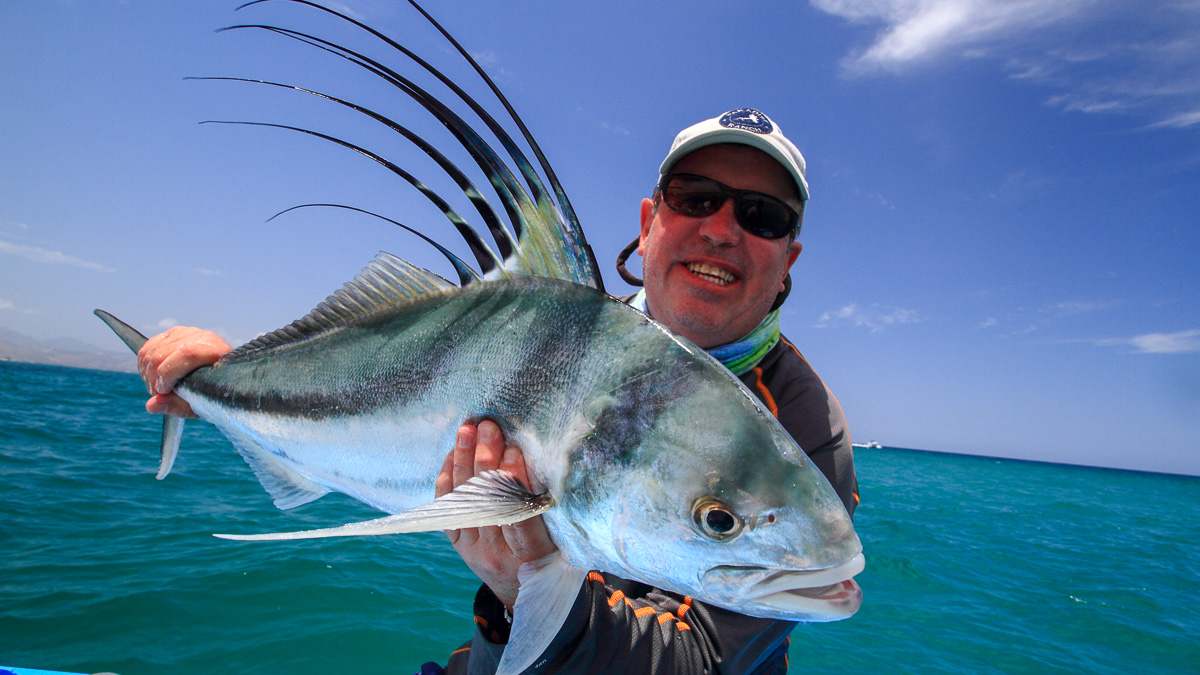 Roosterfish The Reel Baja