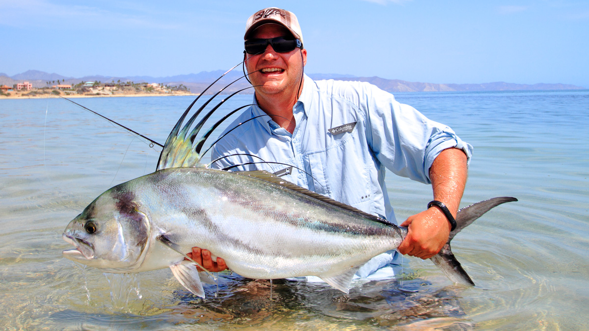 Roosterfish The Reel Baja