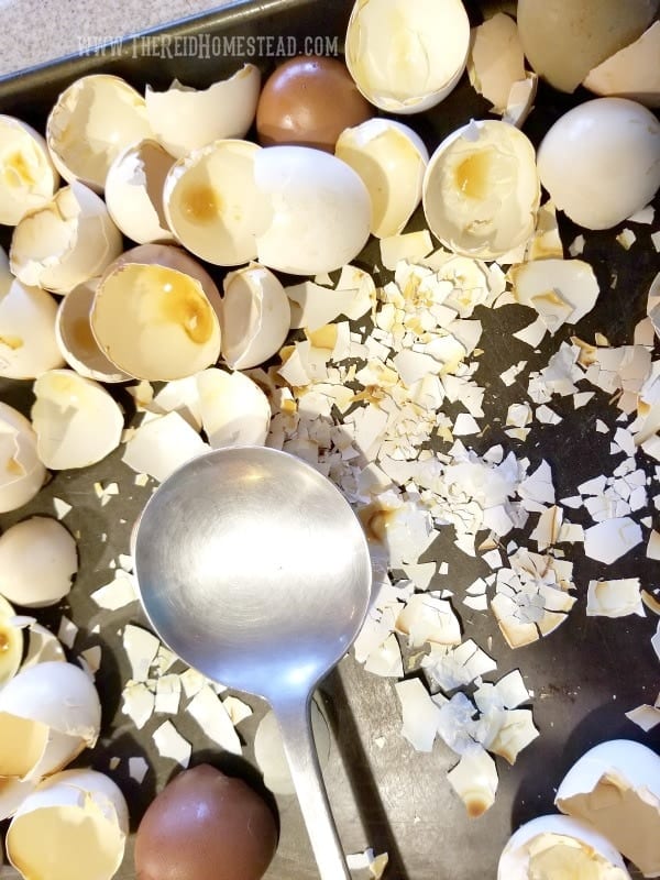 How to Use Eggshells in the Garden (to benefit your plants!)