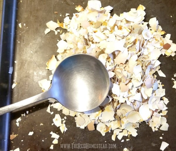 How to Use Eggshells in the Garden (to benefit your plants!)