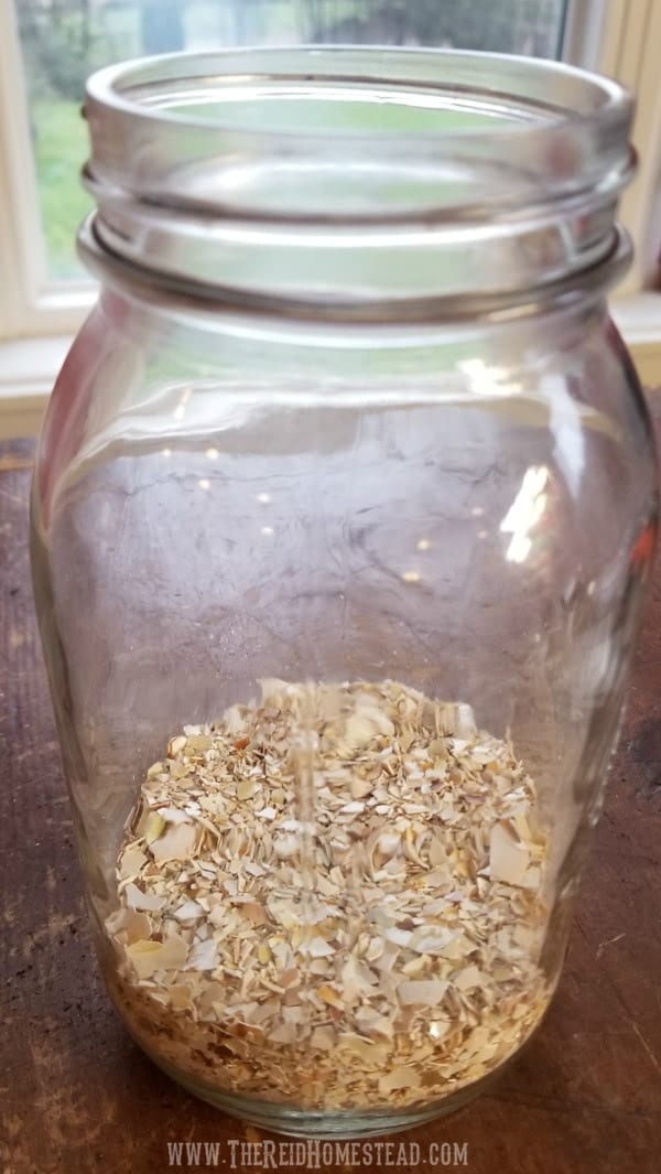 How to Use Eggshells in the Garden (to benefit your plants!)