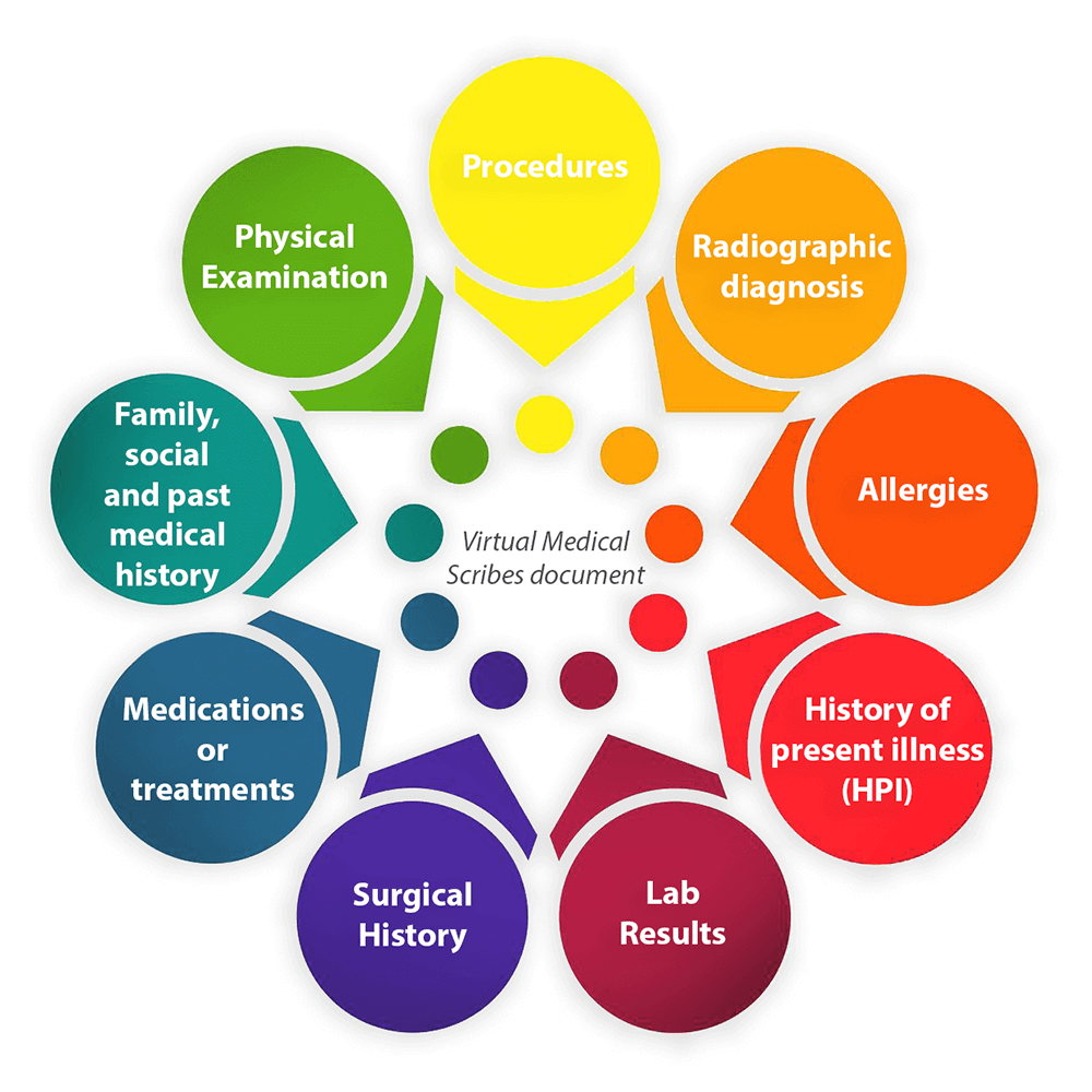 Virtual Medical Scribes Their Role and Skill Set