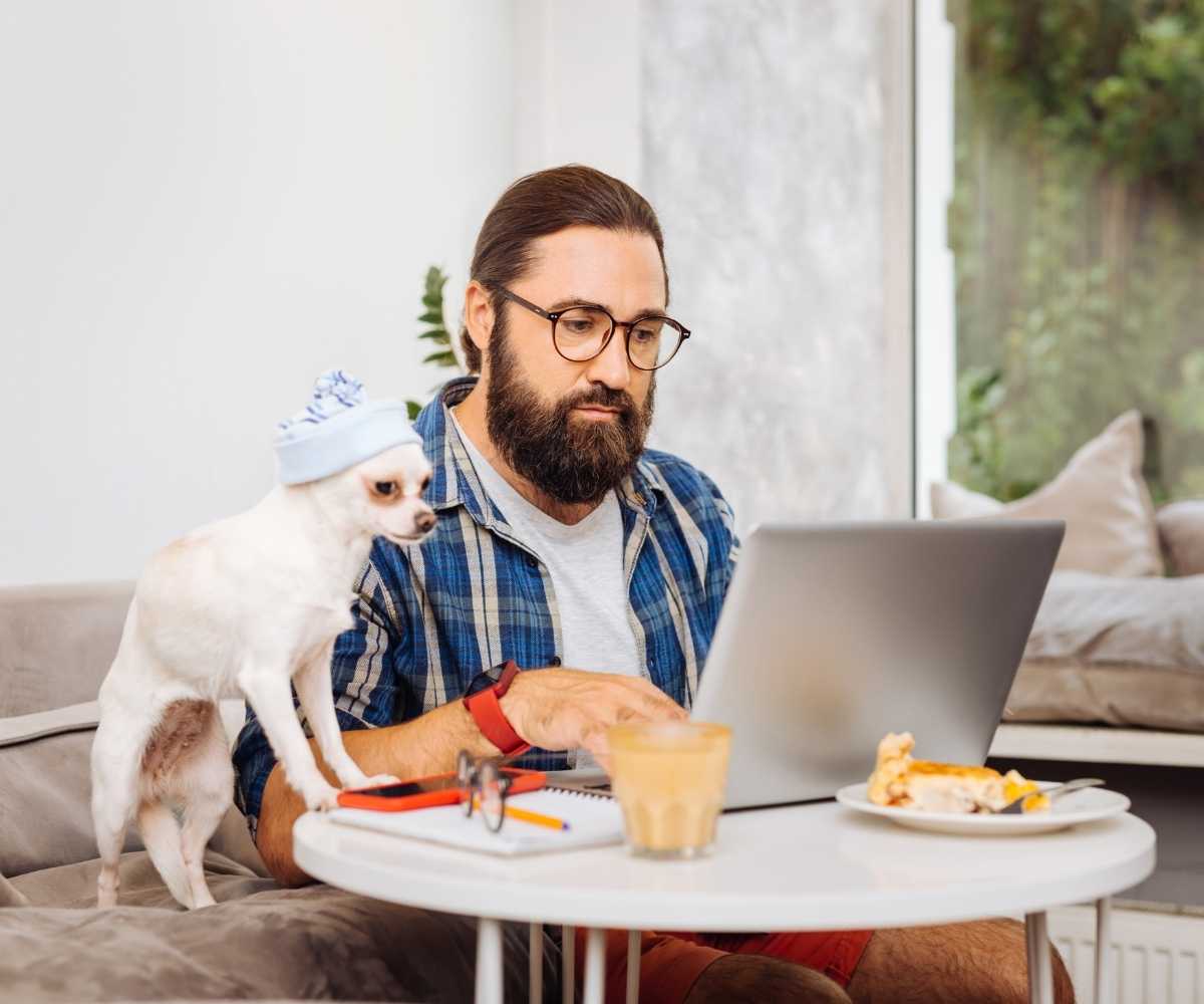 How to Find Remote Jobs in Quality Assurance — The Remote Hive