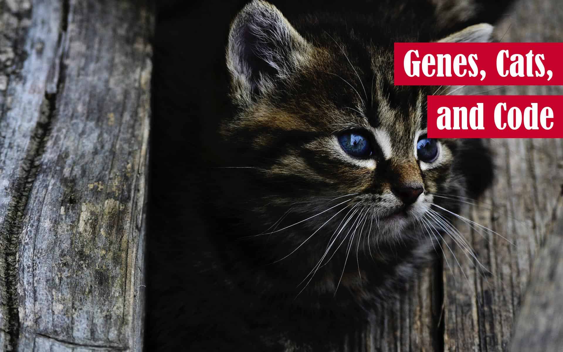 Genes, Cats, and Code The Renegade Coder
