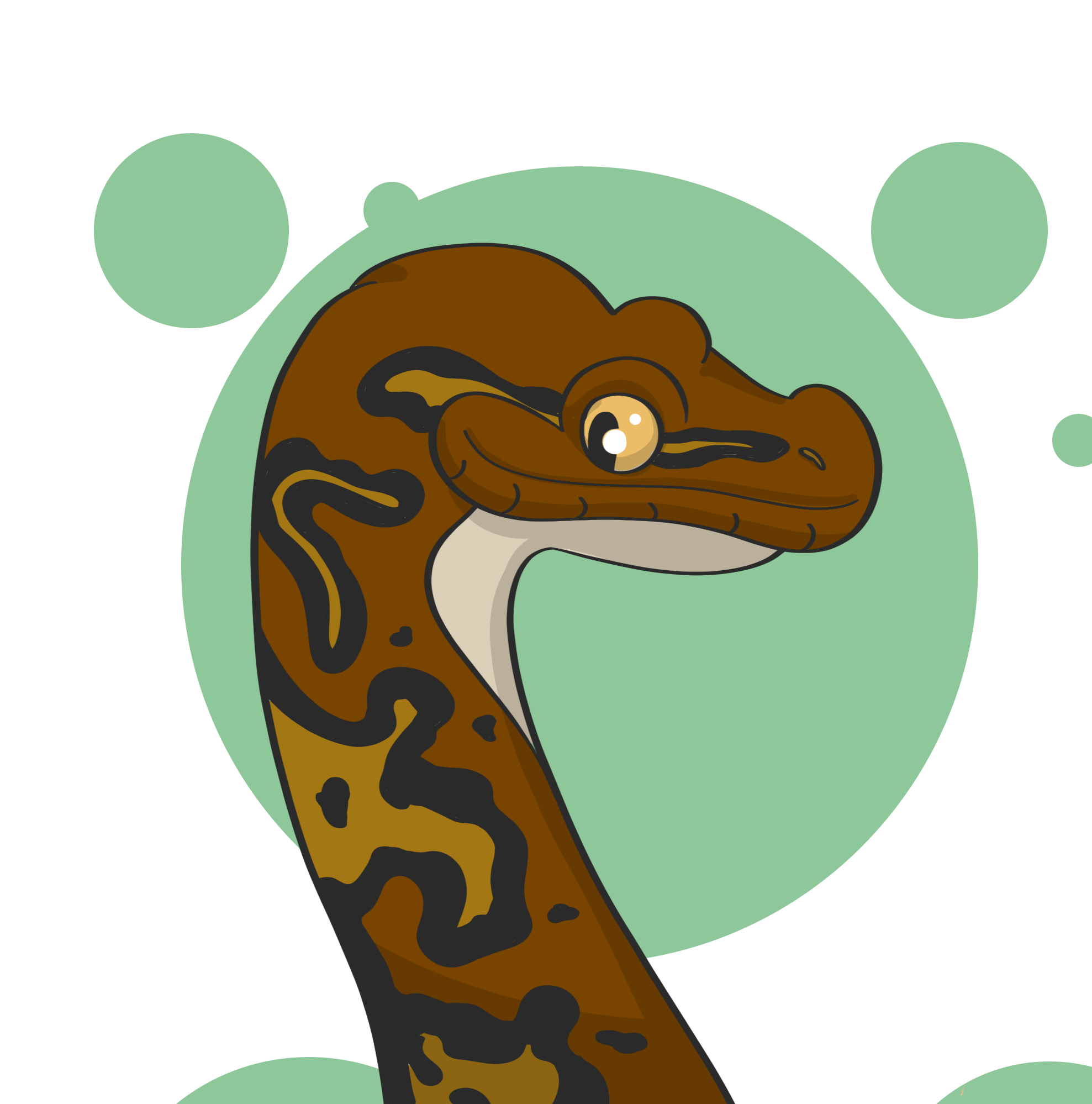 The Reptile Habitat Best Places To Buy Reptiles Online