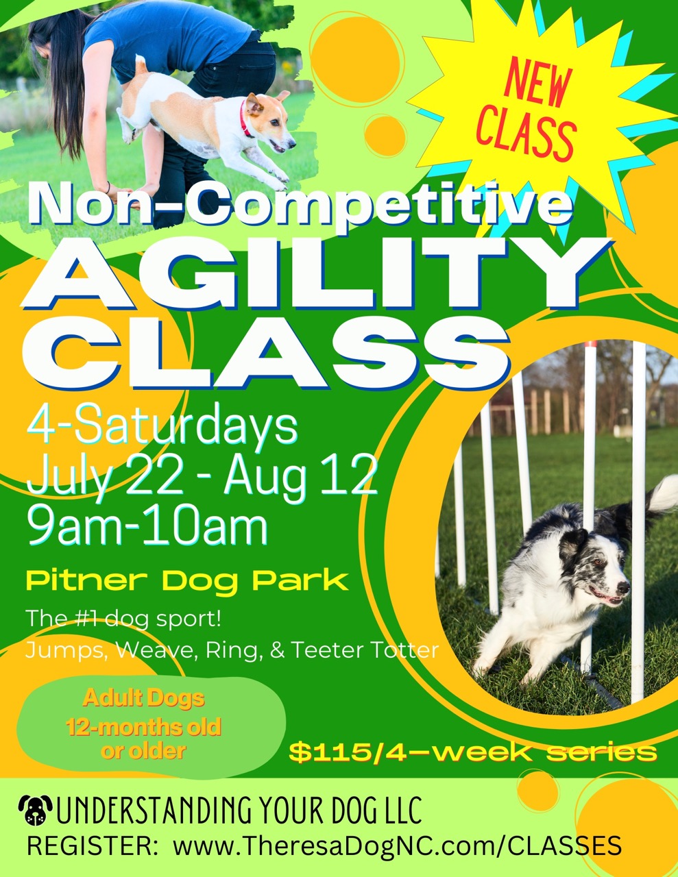 Agility Class Understanding Your Dog