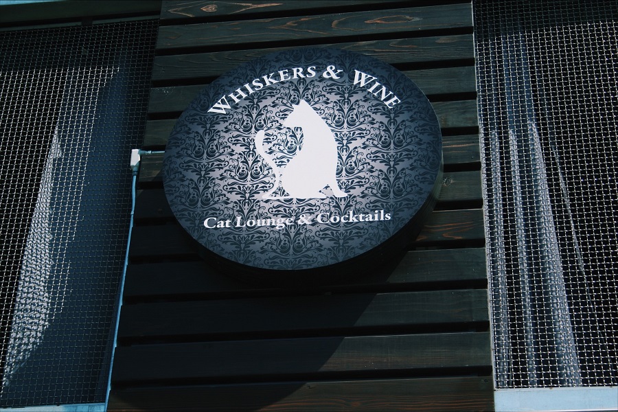 Whiskers & Wine Bar Now Open In San Diego LaptrinhX / News