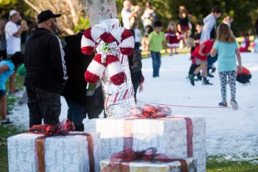 Experience Winter Wonderland At Princess Del Cerro Park