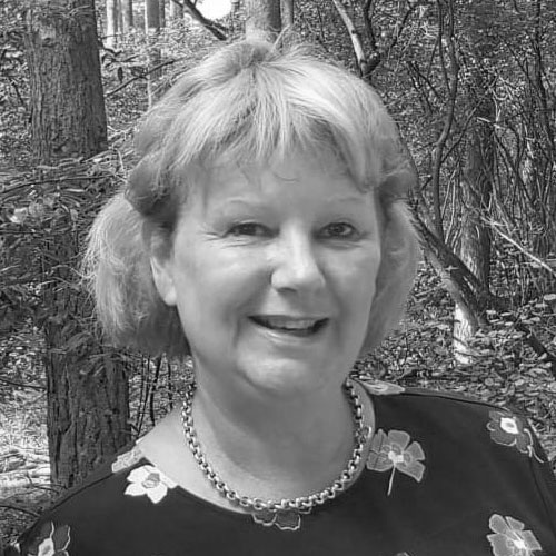 Linda van Gelder The Reset House