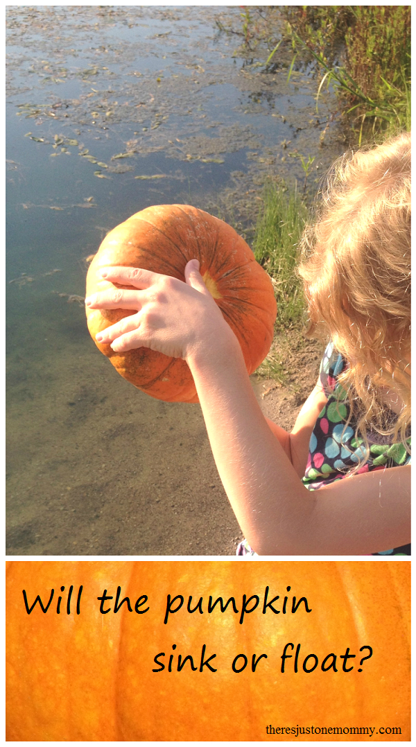 Do pumpkins sink or float? | There's Just One Mommy