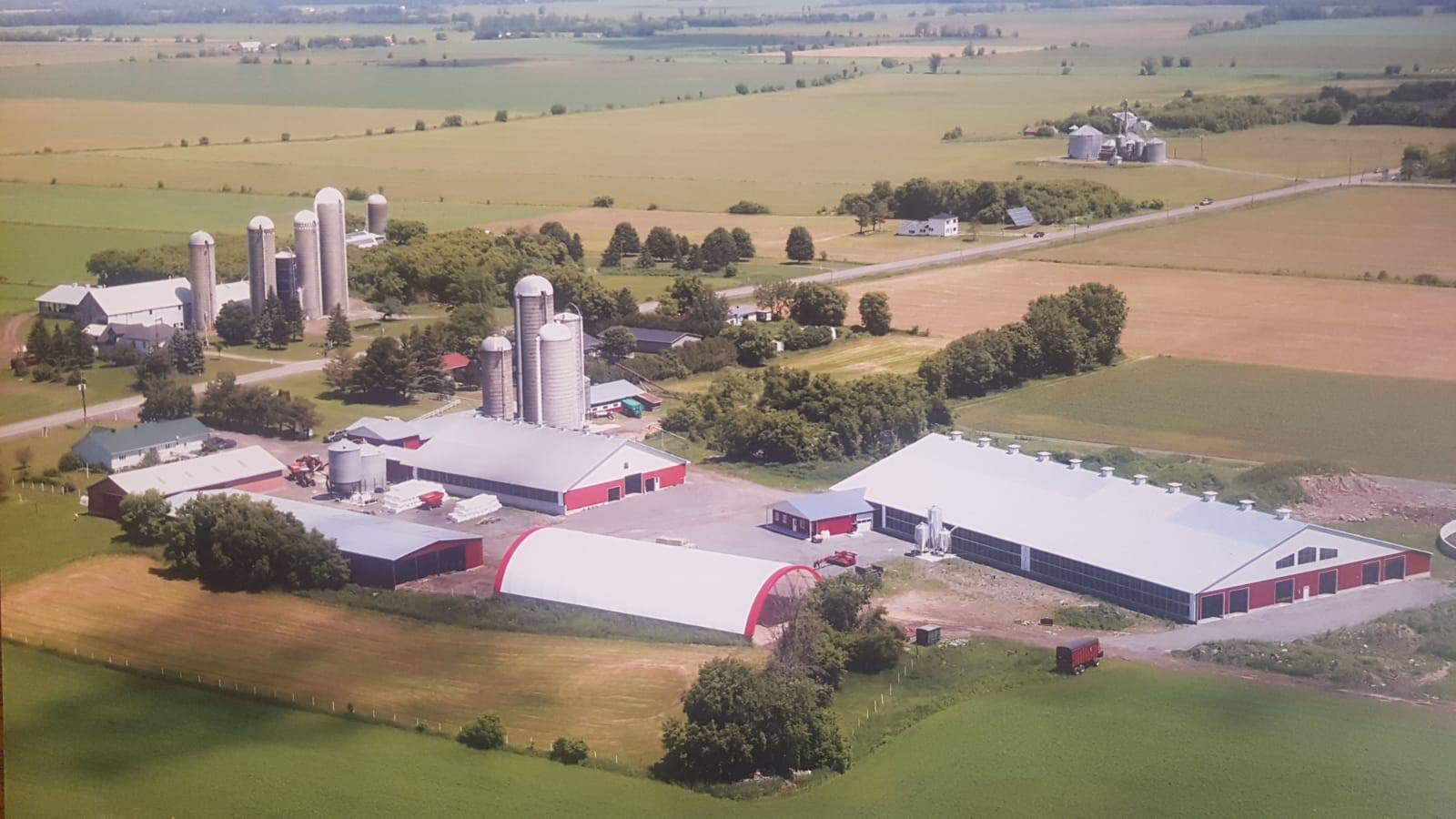 Rosenhill Farm in St. Albert named as best in Ontario on