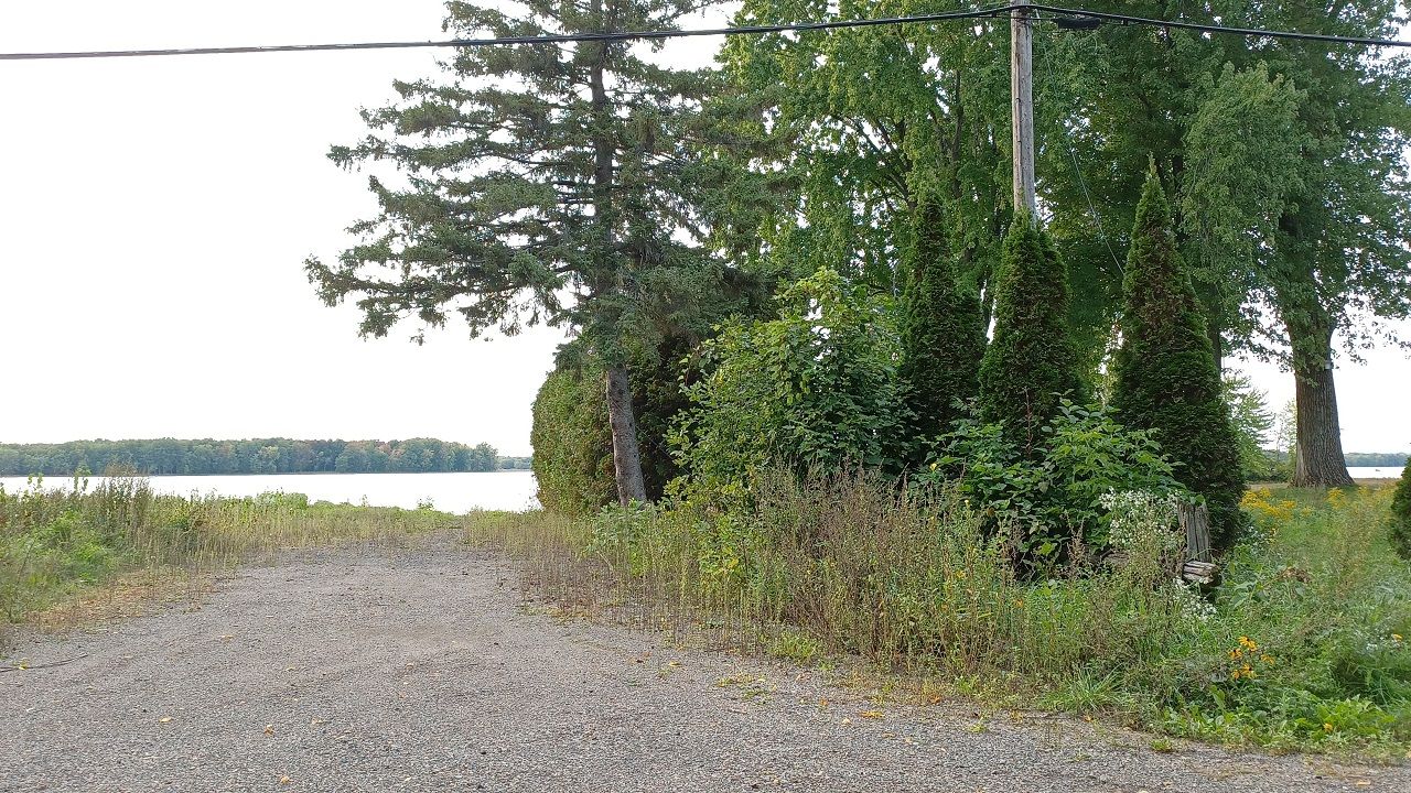 StAndréd'Argenteuil plants 8,000 trees as part of flood zone project The Review Newspaper