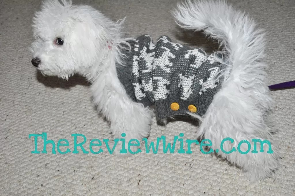 Martha Stewart Pets for PetSmart The Holiday Line