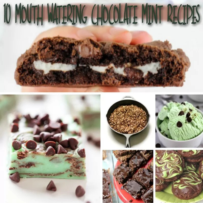 10 Mouth Watering Chocolate Mint Recipes The Review Wire